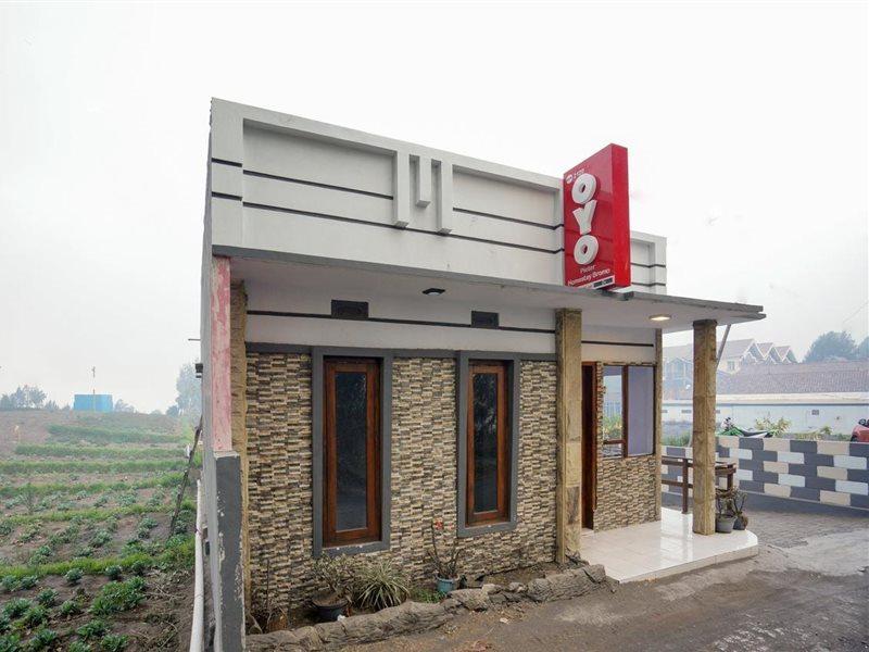 Oyo 2120 Pieter Homestay Bromo Probolinggo Bagian luar foto