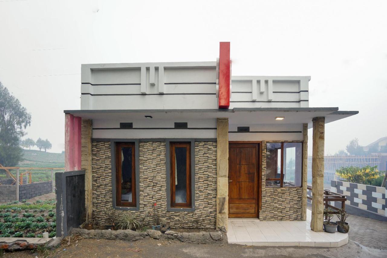Oyo 2120 Pieter Homestay Bromo Probolinggo Bagian luar foto